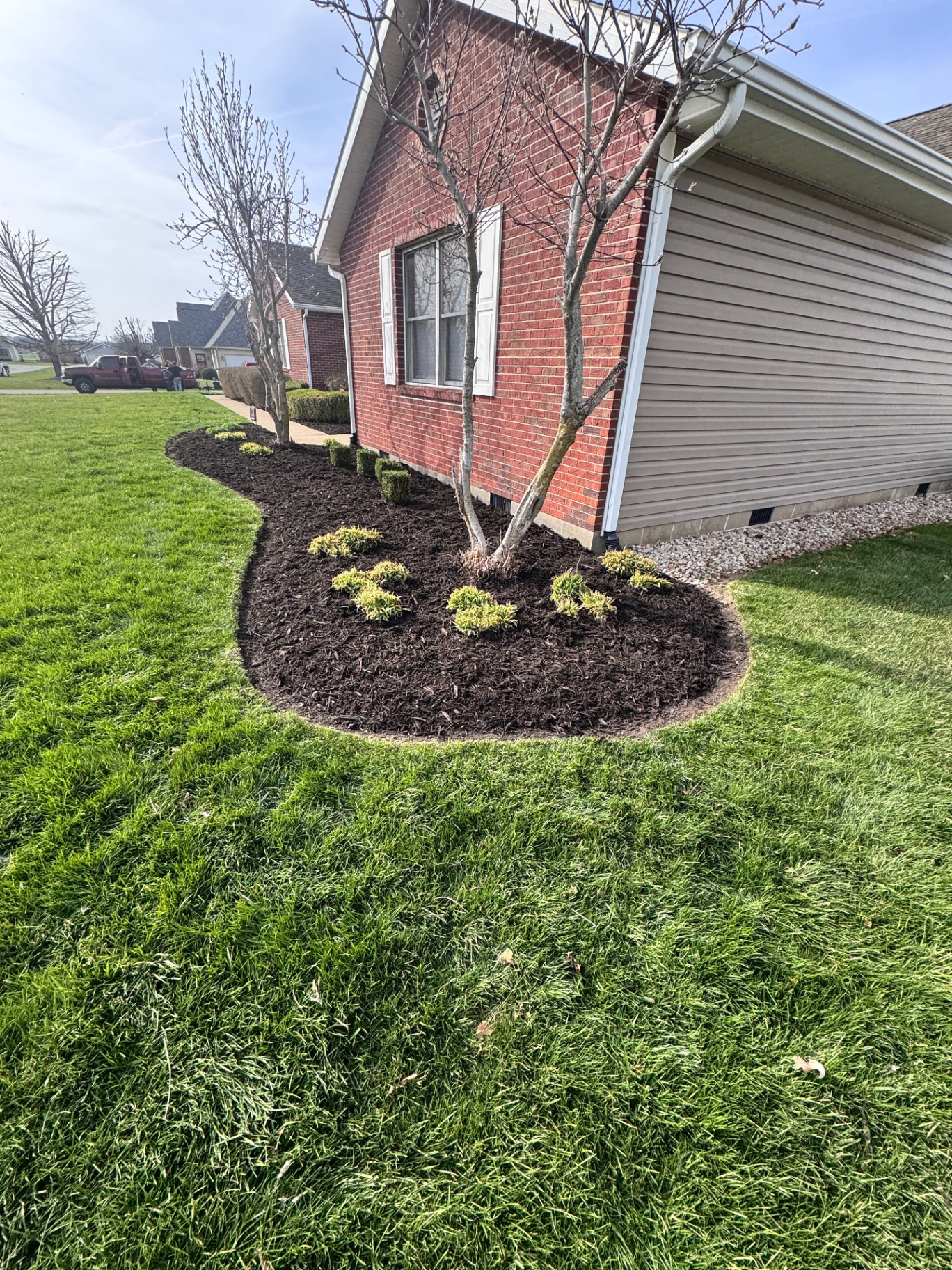 Curved dark mulch bed with fresh shrubs