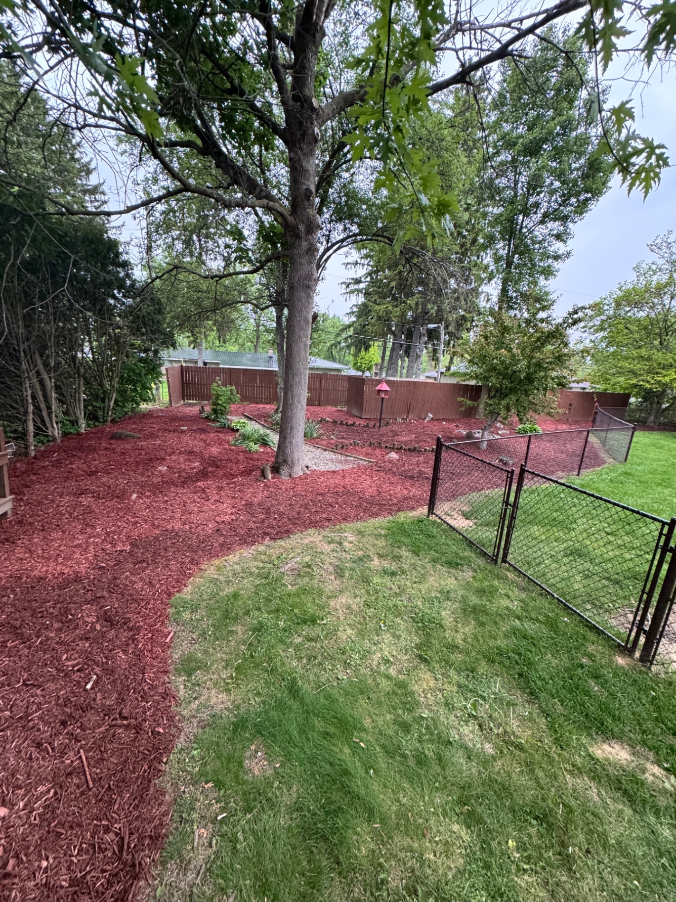 Red mulch bed with fencing