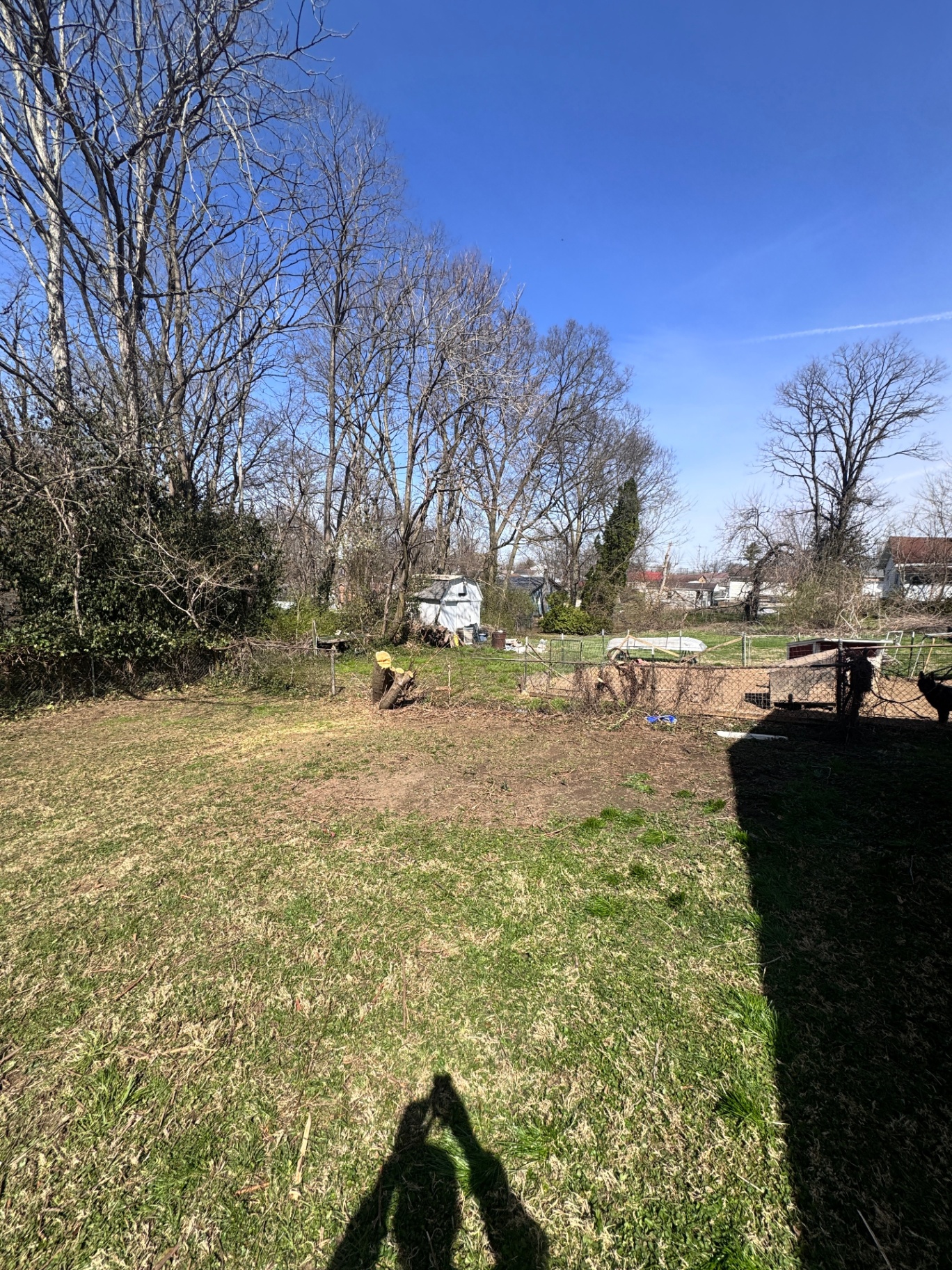Open backyard with clean grass after removal