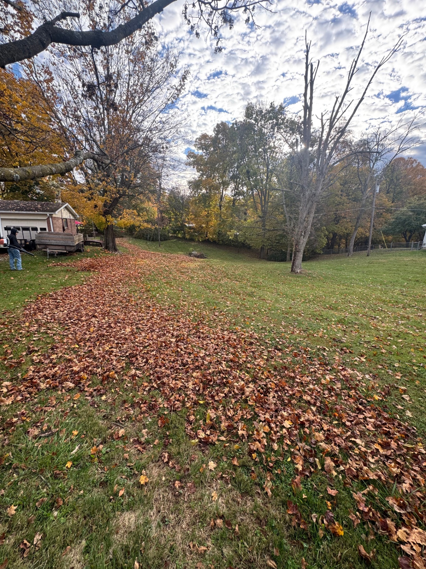 Yard covered in heavy fallen leaves