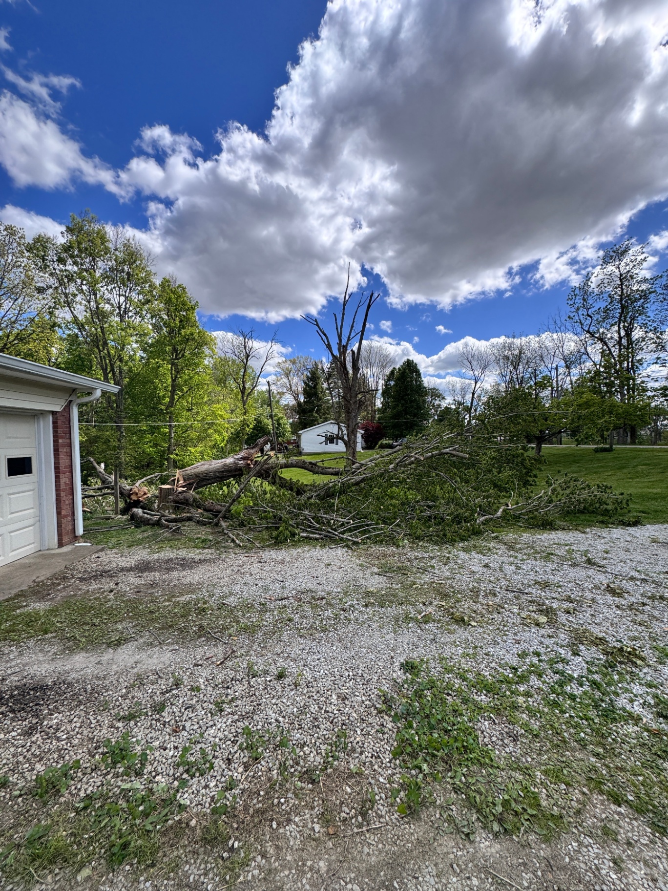Downed tree and brush next to a garage