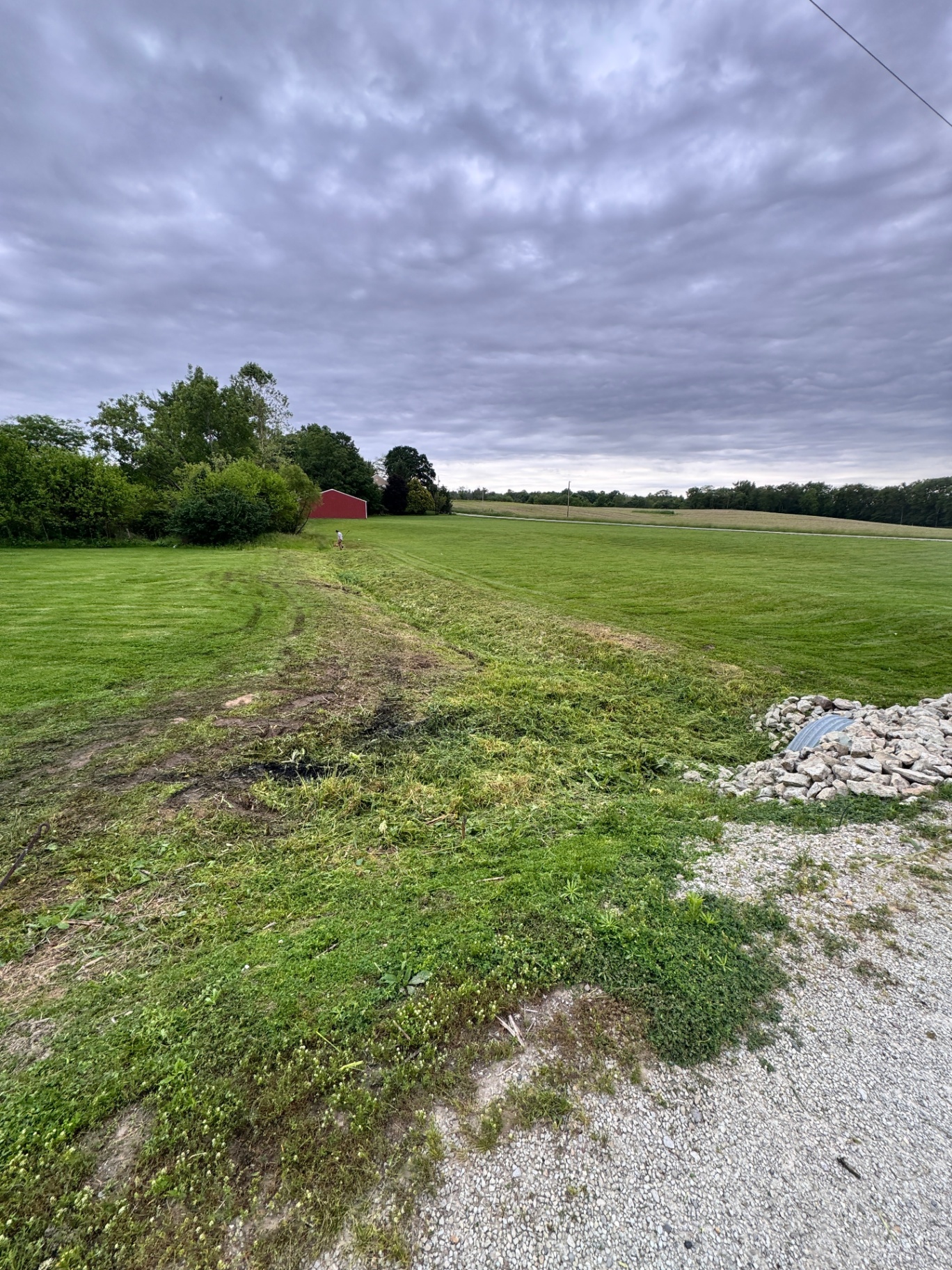 Ditch mowed and cleared of overgrowth