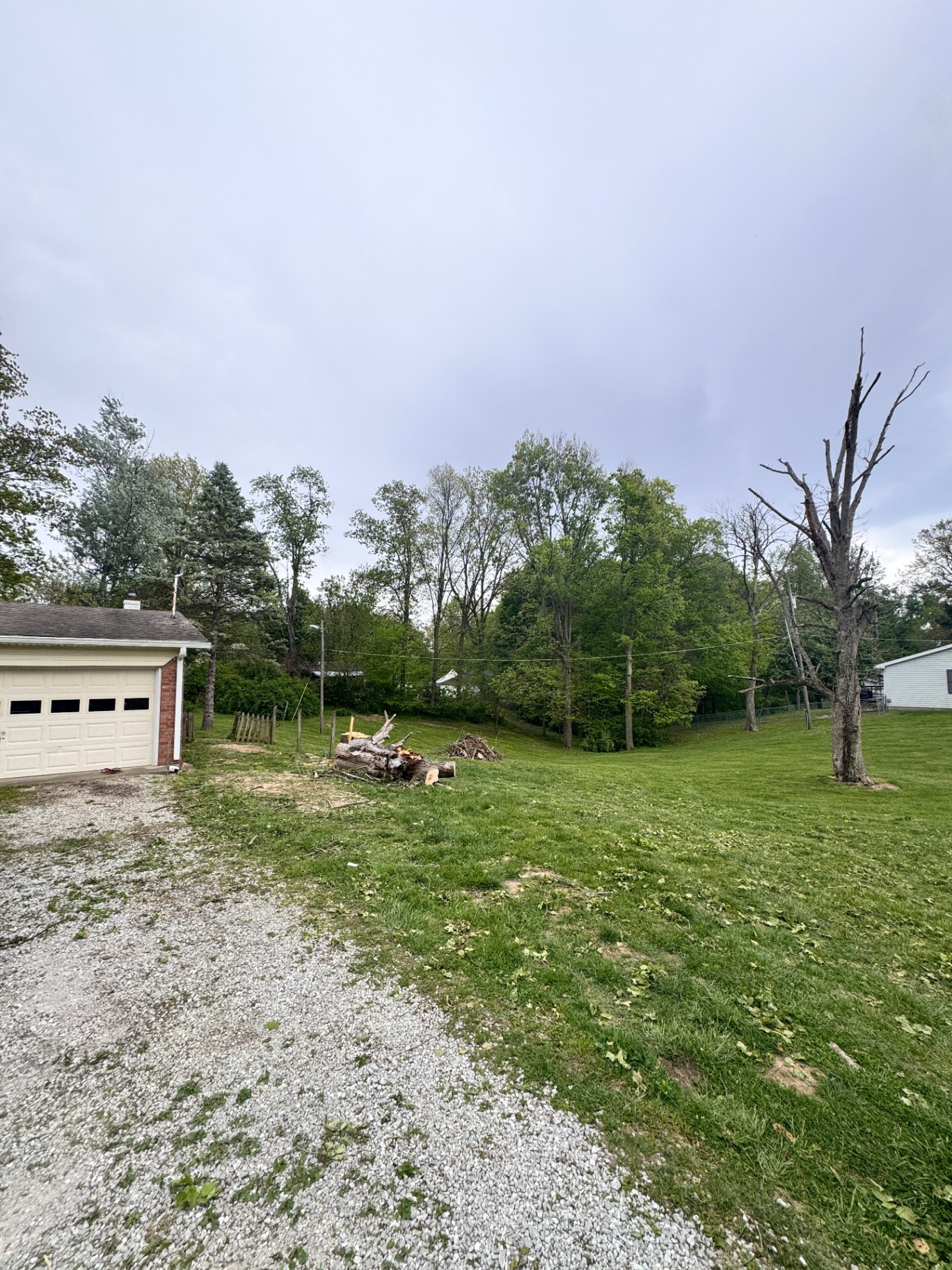 Yard cleared of downed tree and brush