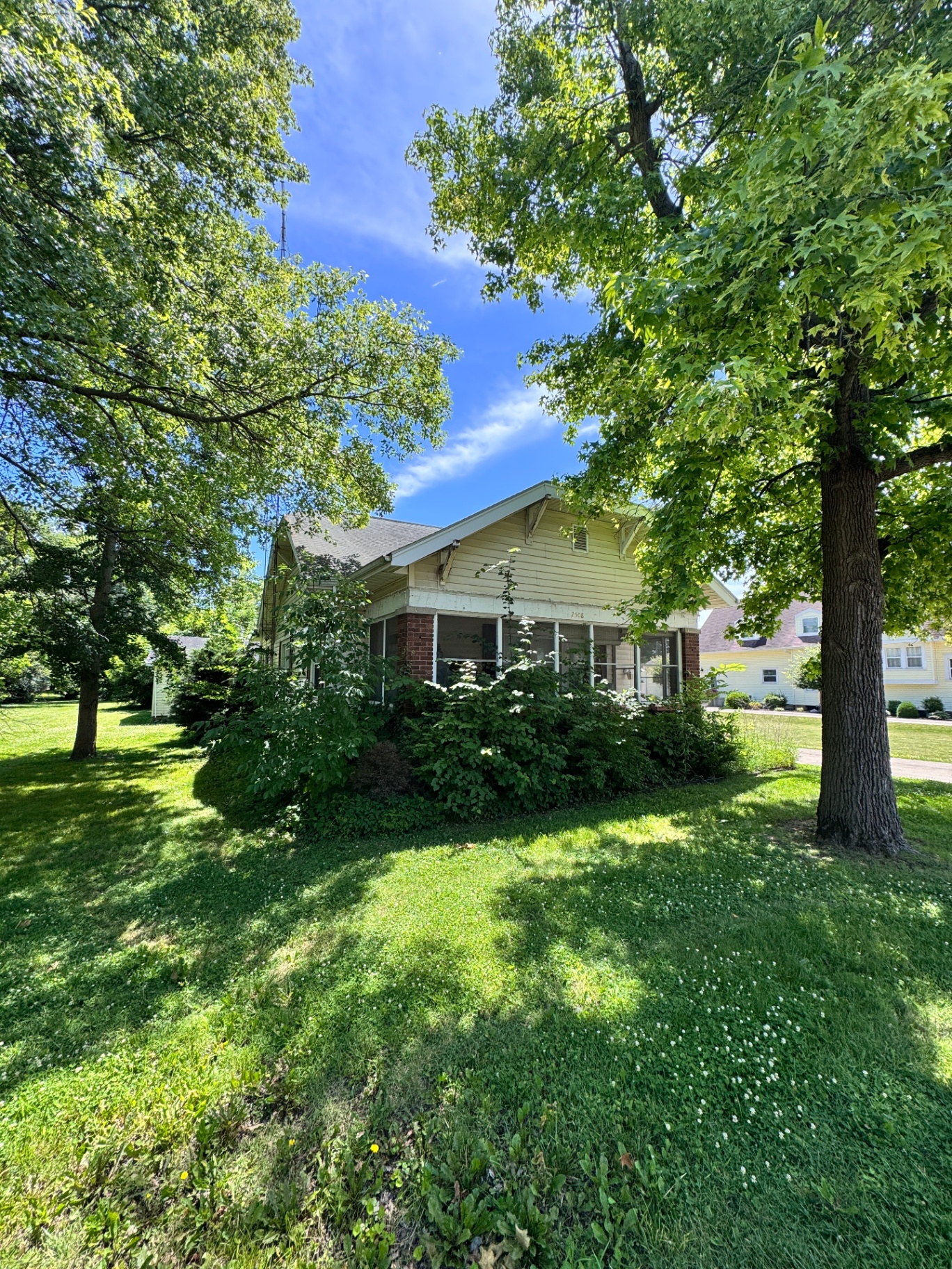 Bungalow front yard with overgrown shrubs