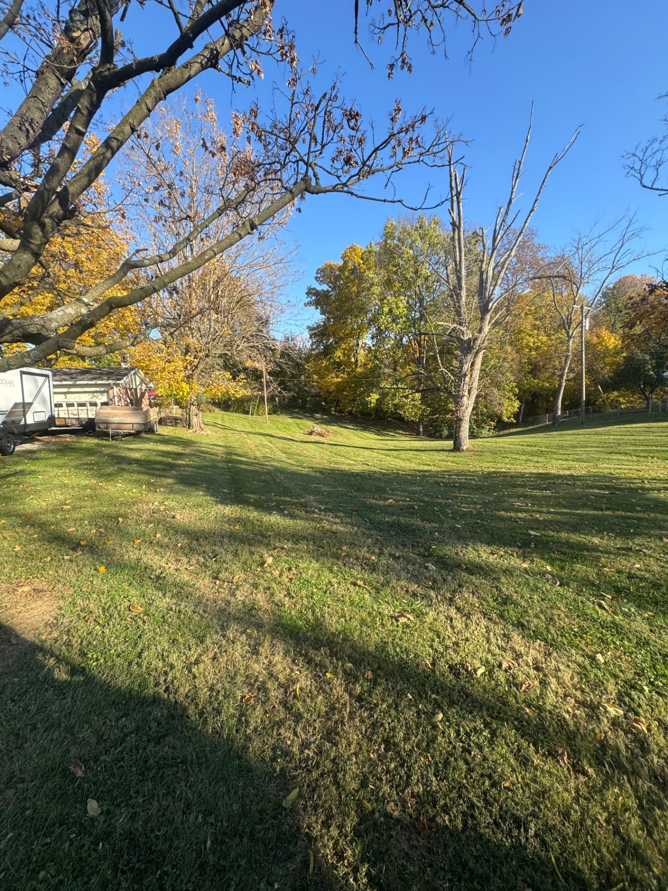 Yard cleared of leaves with clean grass