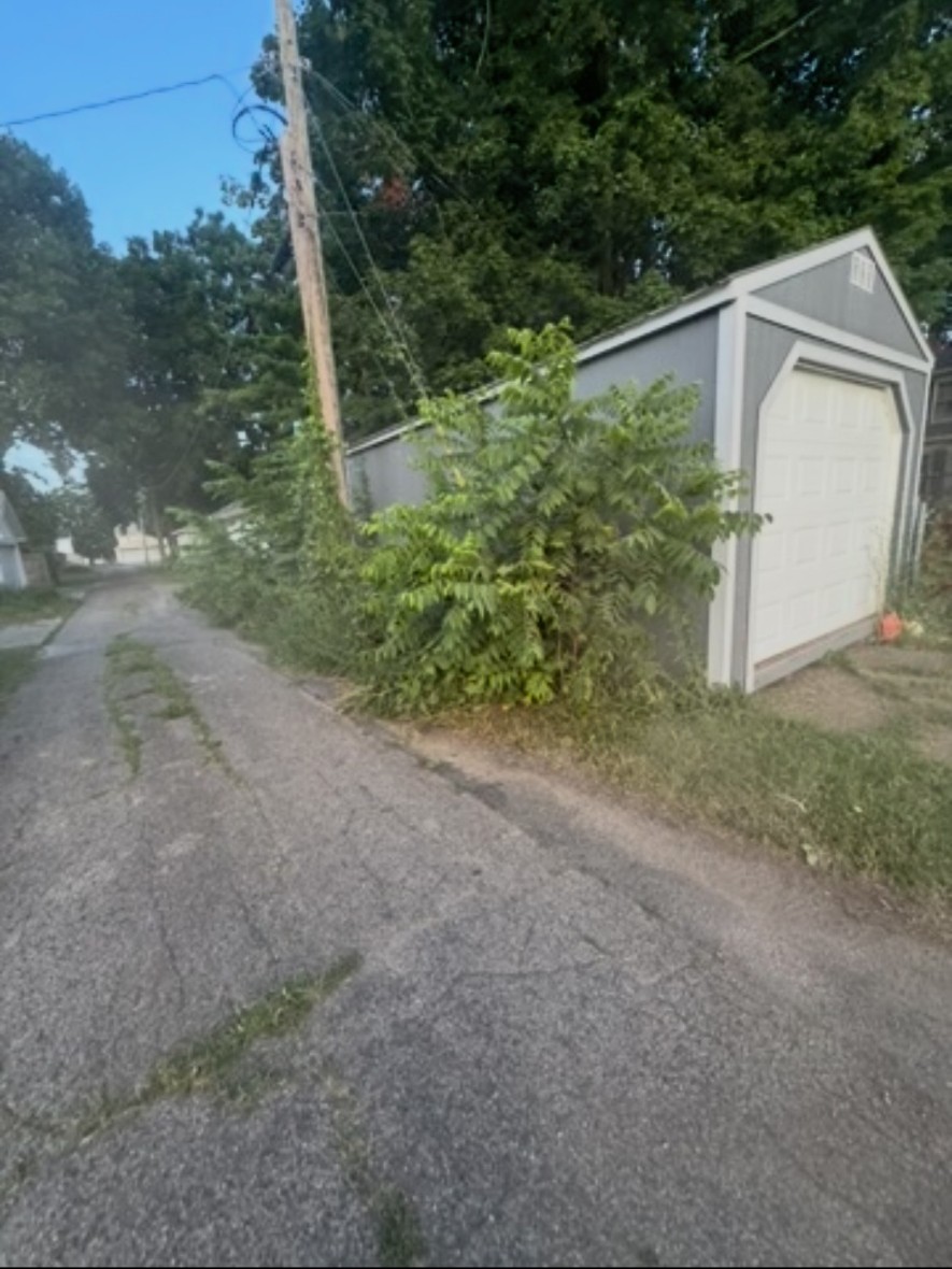 Alley shed surrounded by overgrown brush