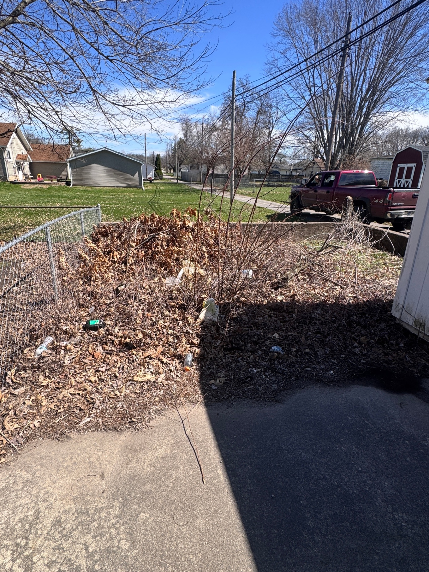 Overgrown brush and trash pile along a driveway