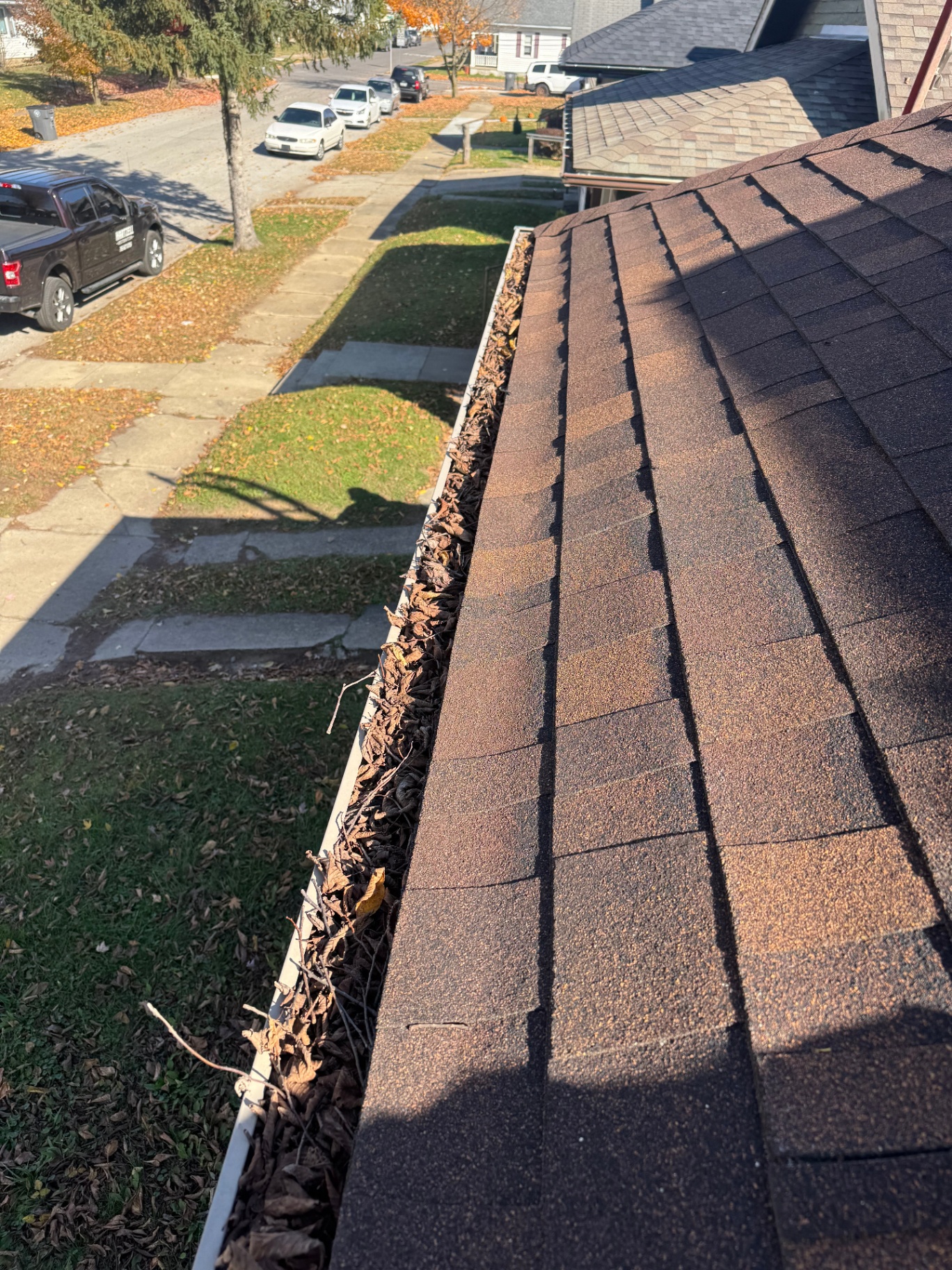 Gutter packed with leaves and debris