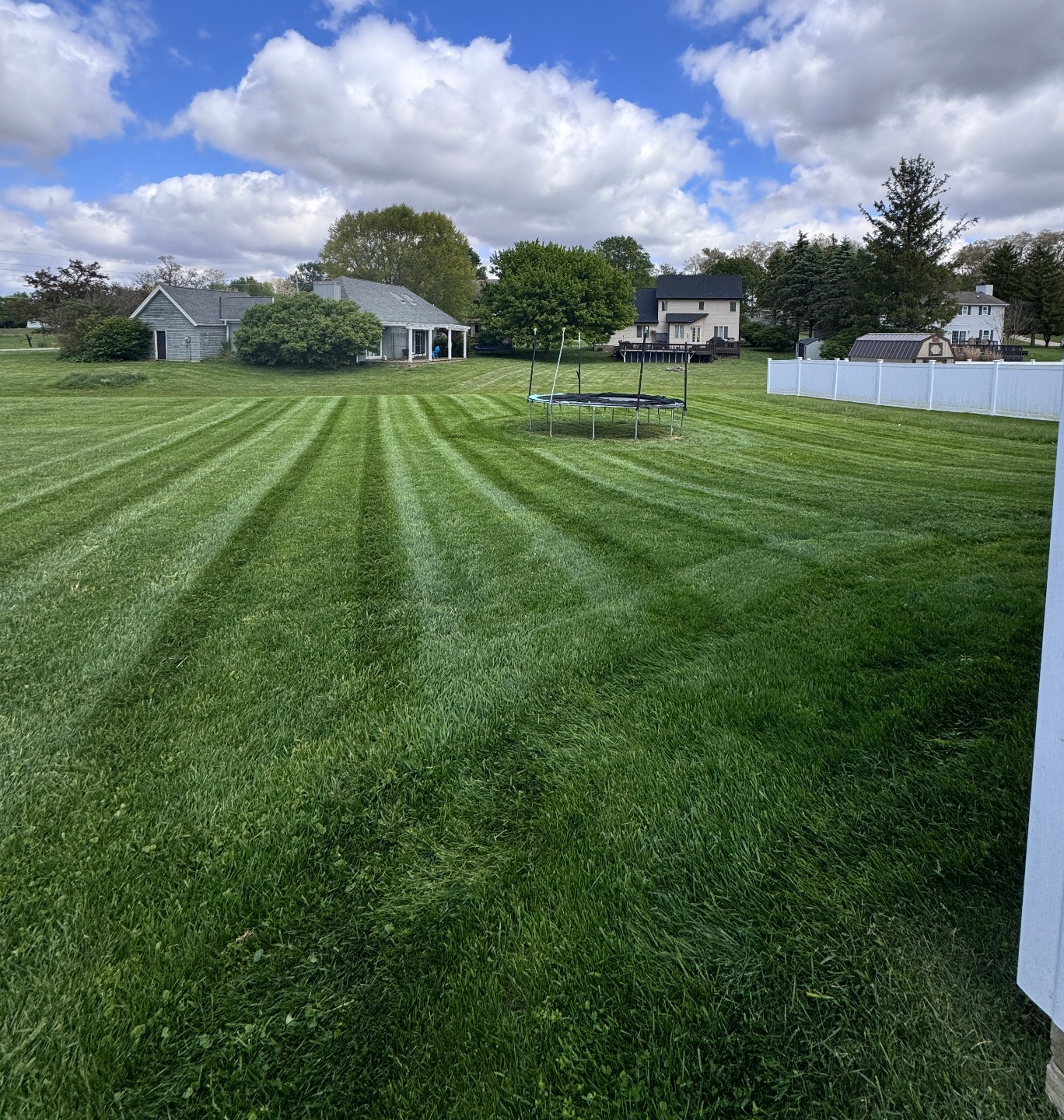 Clean straight stripes across a backyard