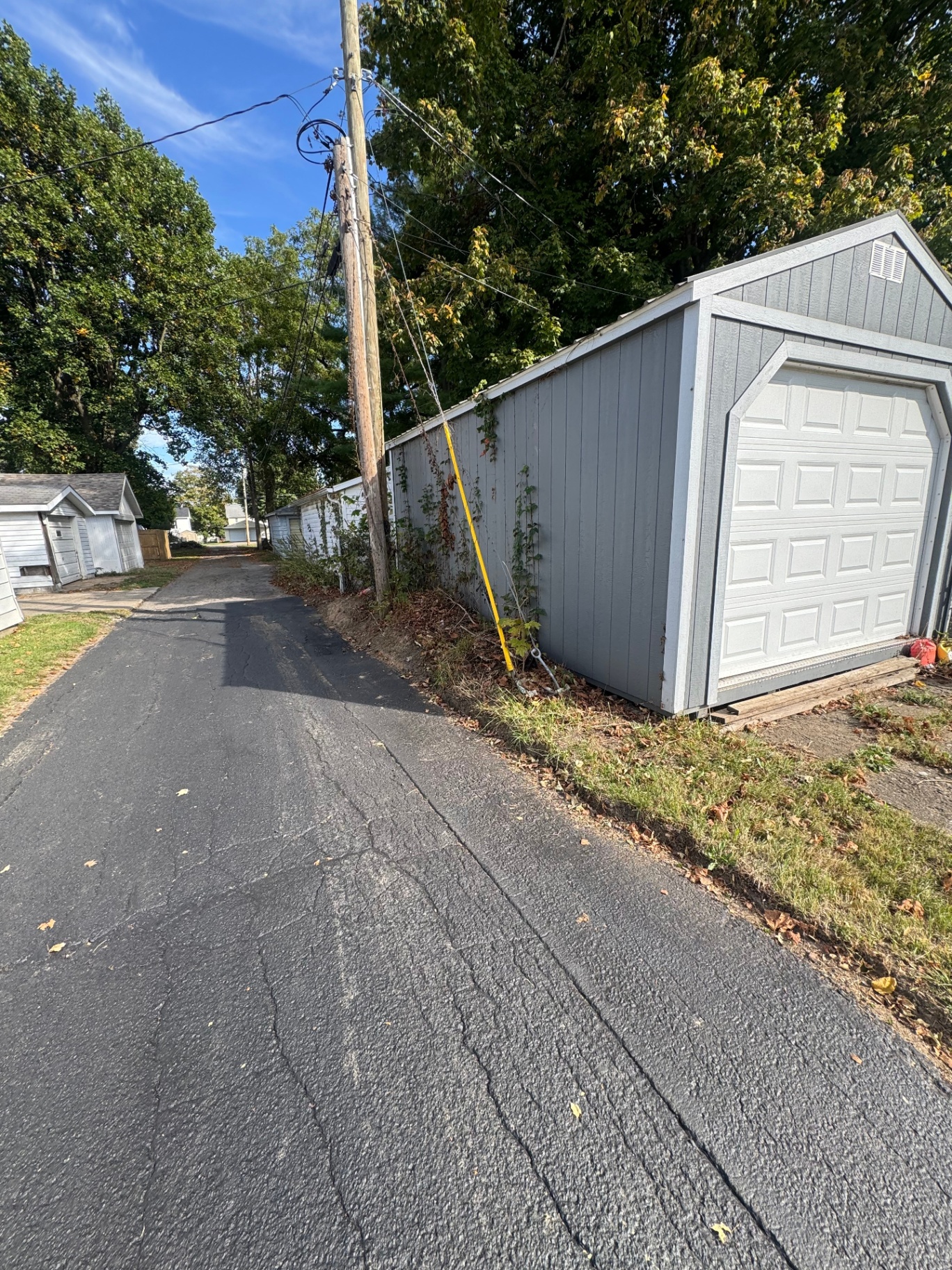 Alley shed with brush cleared